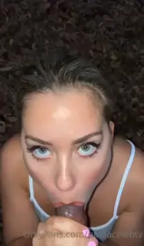 Curtos P.@.0 l.@ C.3.l.3.b