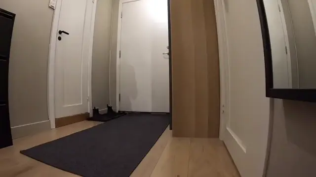 Teen flashes delivery driver