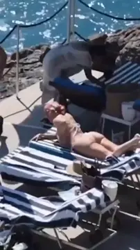 J Lo