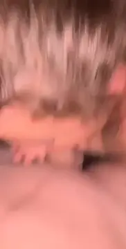 20 year old White slut from mississippi begs to be posted and used