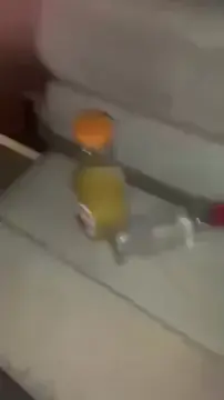 pretty teen face fucked on the floor