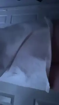 sexy bubble butt latina slut