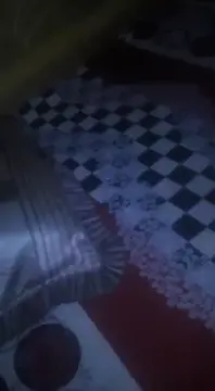 Habesha Sex 5