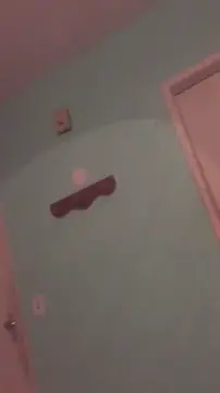 couple having sex in bathroom caught