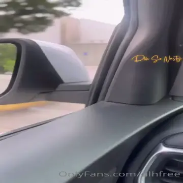 he fuck her shamelessly in the car