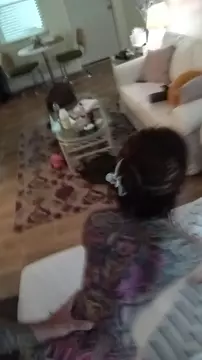 Tatted slut sounded from behind