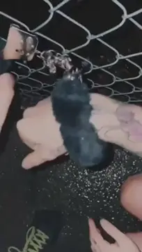 Goth slut handcuffed and pissed on