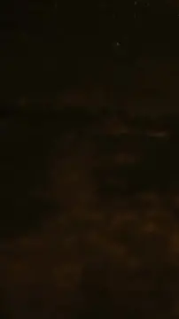 Coi