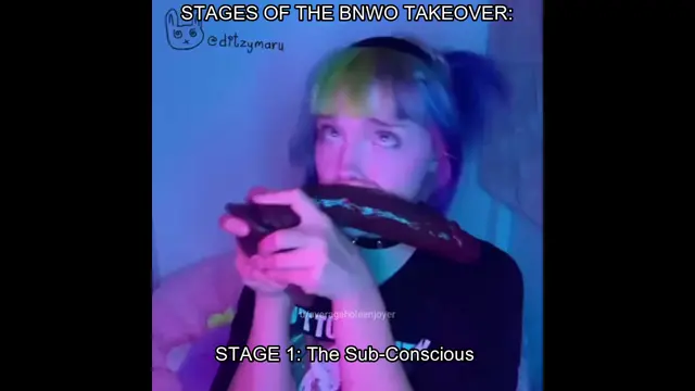 Stages of the BNWO Takeover