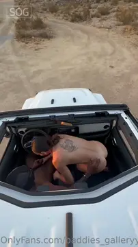 lovely brunette girl fucked in the car