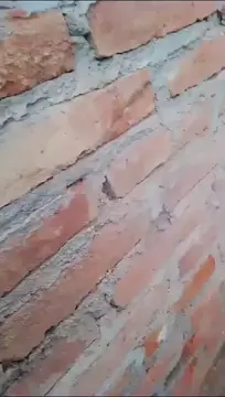 old man fuckin dat bitch