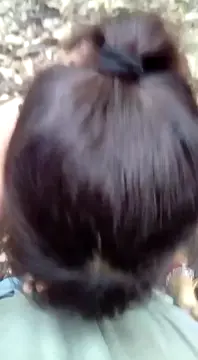 La cerda Alexandra Aguilar y la puta de su madre Alena Tampico