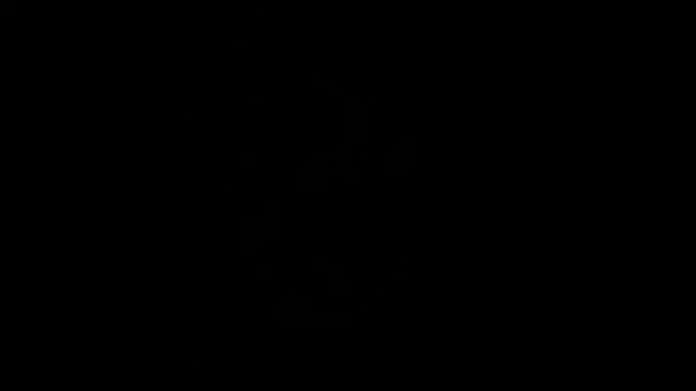 DDF-1