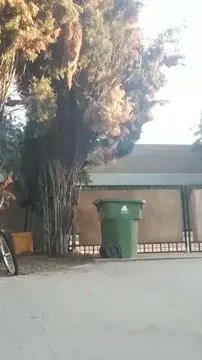 Naked girl gets the delivery at her front gate