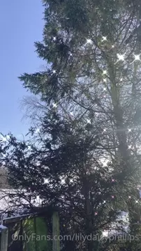 Lillian Phillips, lilydaisyphillips, lilyphillip_s, lilyphillipsx2