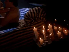 Snapdragon - Pamela Anderson (1993)