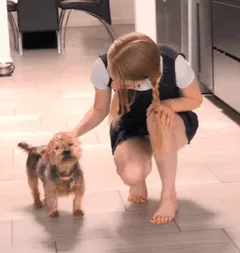 puppy love.