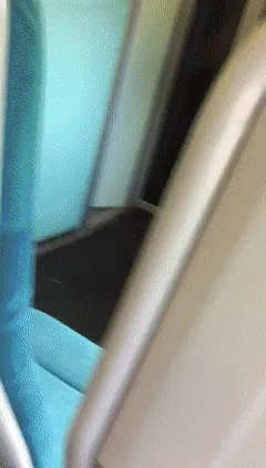 incredible indian flashing at lucky boyfriend on train...and you know her crazy ass only dates white guys, acting like that. i applaud her.