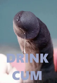drink cum