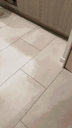 top ten sexiest gifs