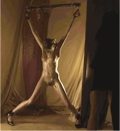 bondage whipping gif