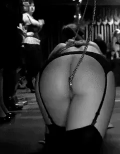 plug & play