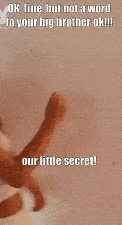 my hot girlfriend flashing her tits for my lil brother