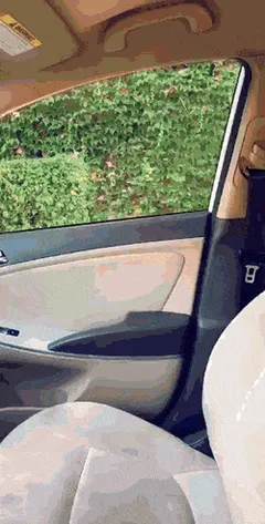 the wife was working on a porn shoot. "i have been a bottom all day so after a bath i am top do you understand" yes honey i said