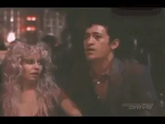 Kitten Natividad In The Wild Life