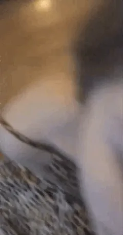 slut