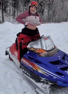 snowmobile flasher
