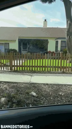 Fan Interview turns into his dream cum true