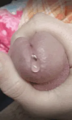 so horny my cock is dripping precum!!