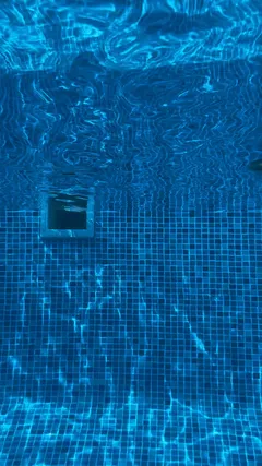 What they look lìke underwater