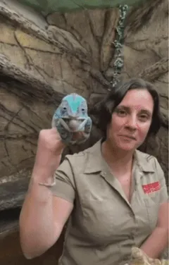 babyf@cedh0e h@zelvxruse kikik@ttan