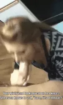 thanks for training her for me. i know that's hard work.