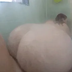 tiffany cappotelli - shower romp gif