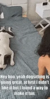 they say a dog's a man's best friend, but a woman's too apparently