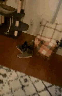 Horny couple had hot sex right on the table