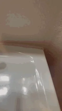 When a black wants to fuck, he just take your wife. She will be happy to get another load.