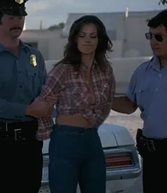 lynda carter in bobbi jo and the outlaw