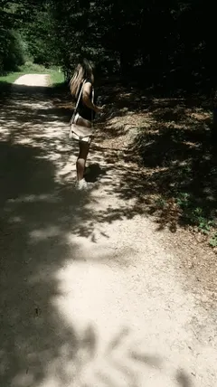 public flashing
