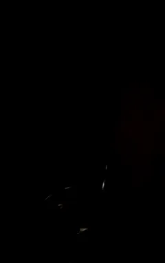 i walk into my room to see my black bully pounding mommas pussy on my bed